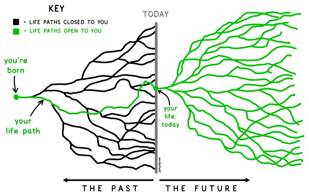 A visualization of a human life split into weeks